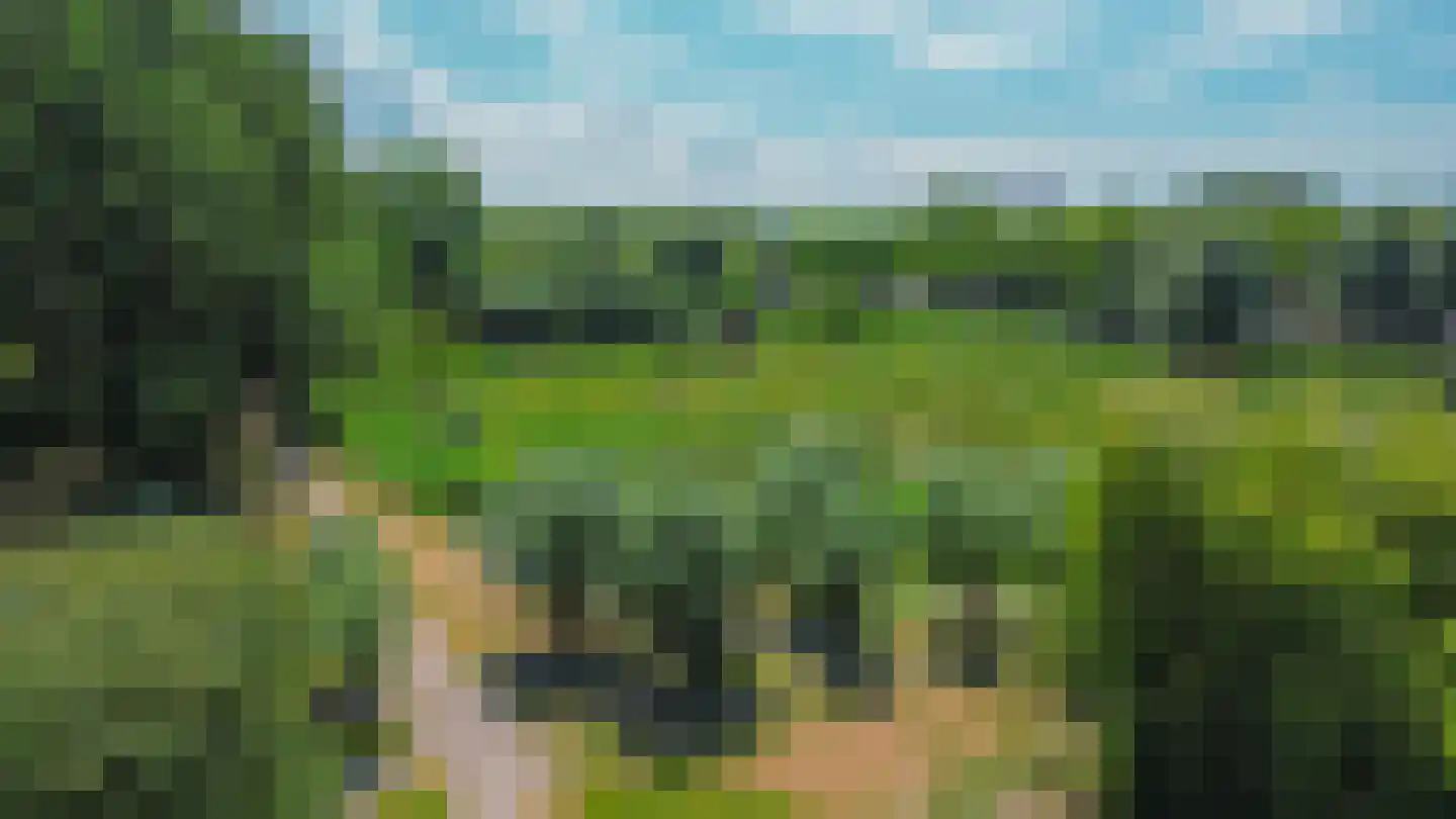 Dodonaeuslaan 317 Zaandam thumbnail 67