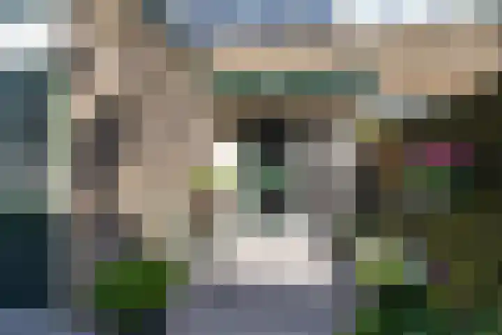 Dodonaeuslaan 317 Zaandam thumbnail 7