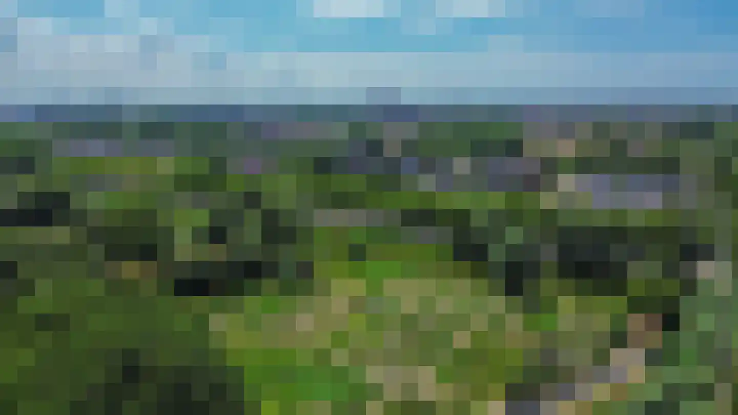Dodonaeuslaan 317 Zaandam thumbnail 70