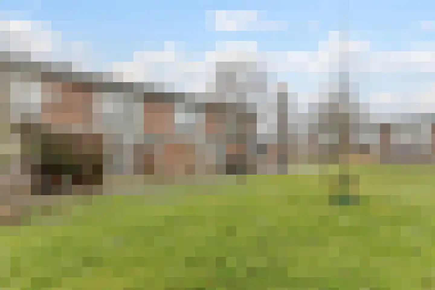 Dodonaeusstraat 5 Zaandam thumbnail 18