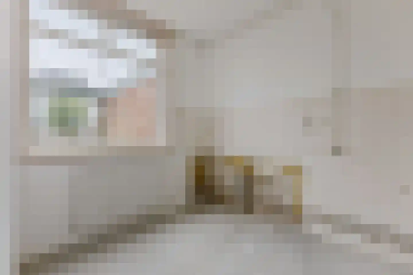 Dodonaeusstraat 5 Zaandam thumbnail 4
