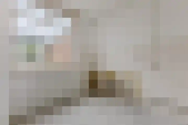 Dodonaeusstraat 5 Zaandam thumbnail 4