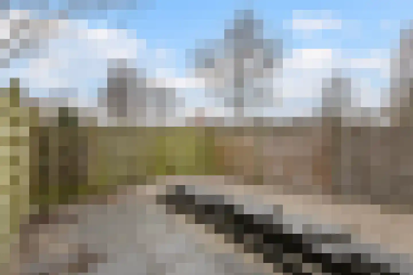 Dodonaeusstraat 5 Zaandam thumbnail 5