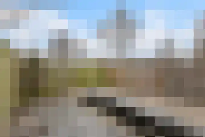 Dodonaeusstraat 5 Zaandam thumbnail 5
