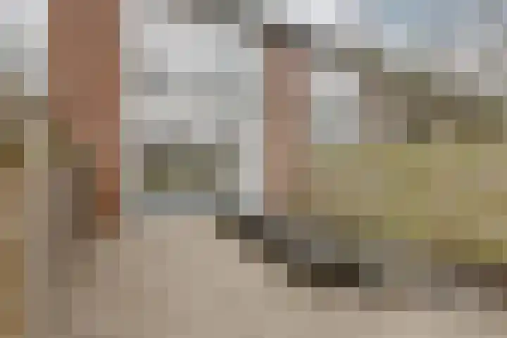 Dodonaeusstraat 5 Zaandam thumbnail 6