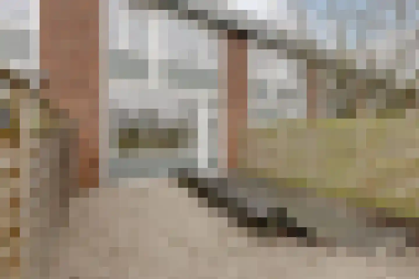 Dodonaeusstraat 5 Zaandam thumbnail 6