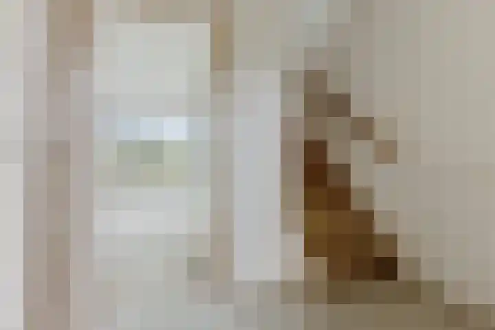 Dodonaeusstraat 5 Zaandam thumbnail 8