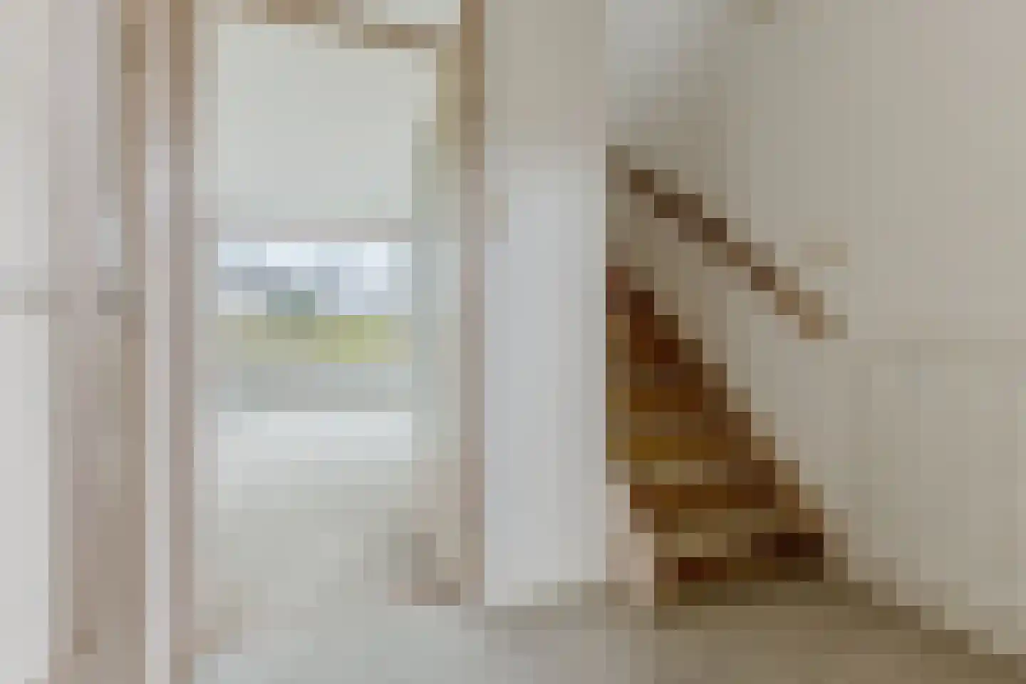 Dodonaeusstraat 5 Zaandam thumbnail 8