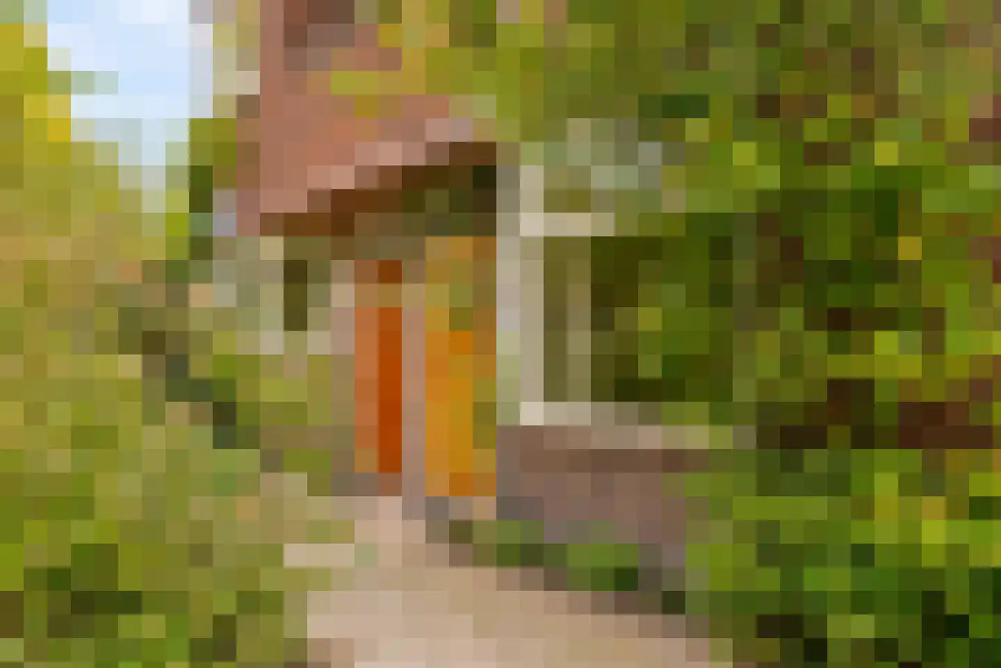 Dodt van Flensburglaan 195 Utrecht thumbnail 43