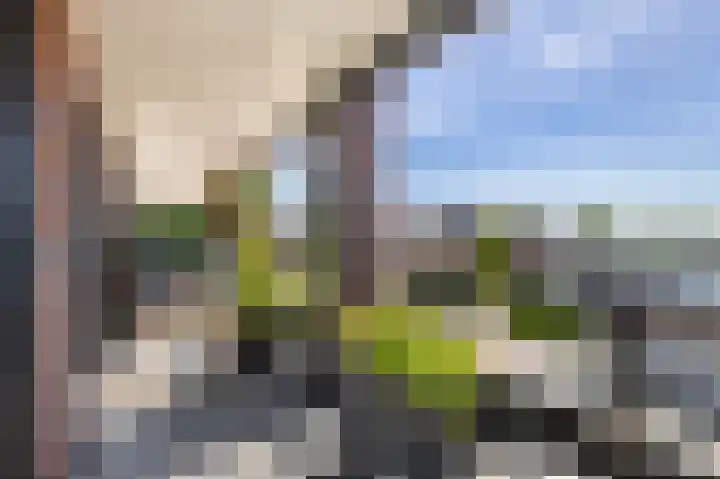 Doedes Breuning ten Catestraat 18 Almelo thumbnail 17