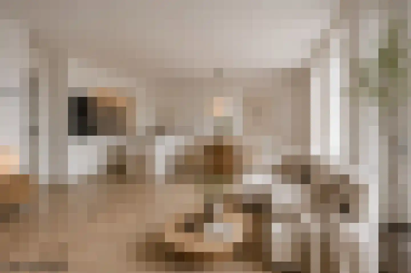 Doedes Breuning ten Catestraat 24 Almelo thumbnail 12