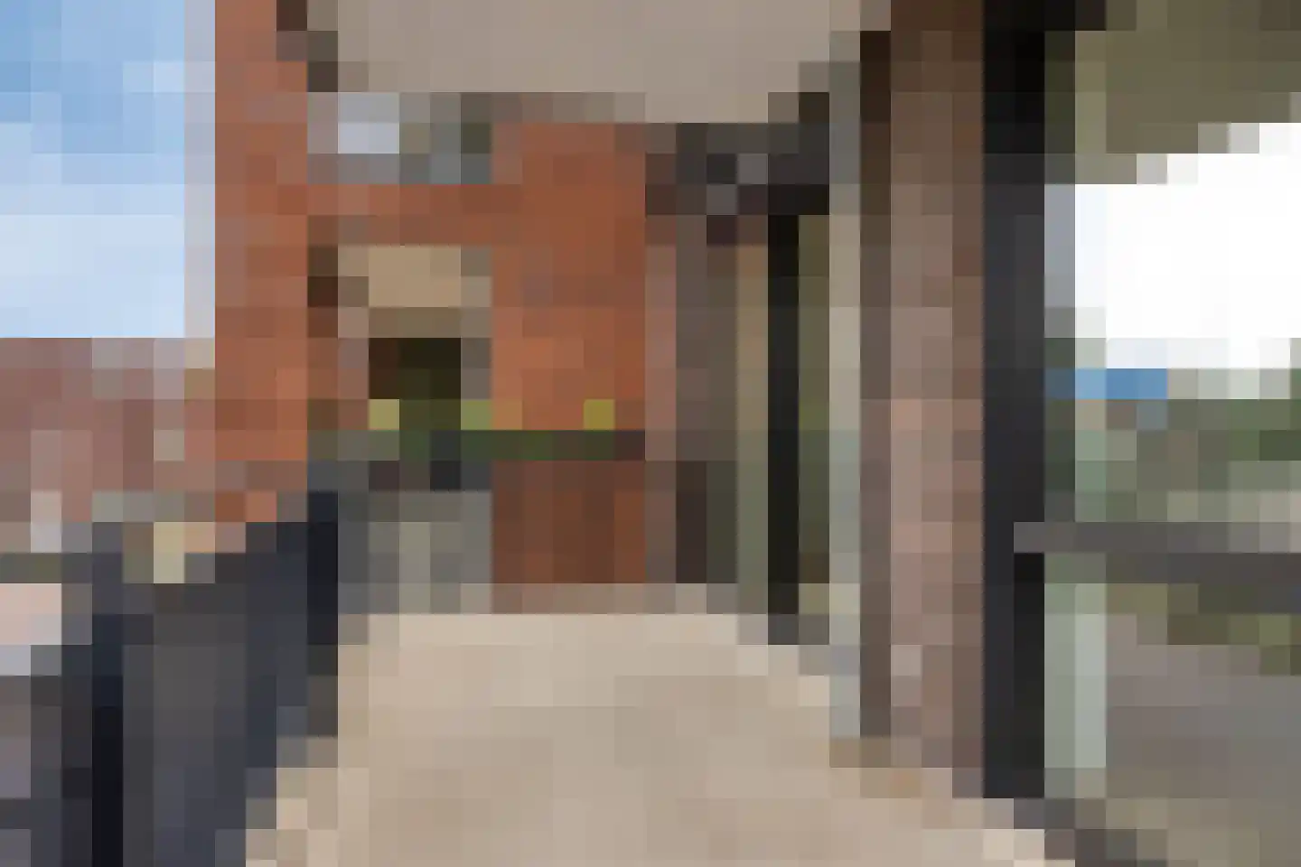 Doedes Breuning ten Catestraat 24 Almelo thumbnail 25