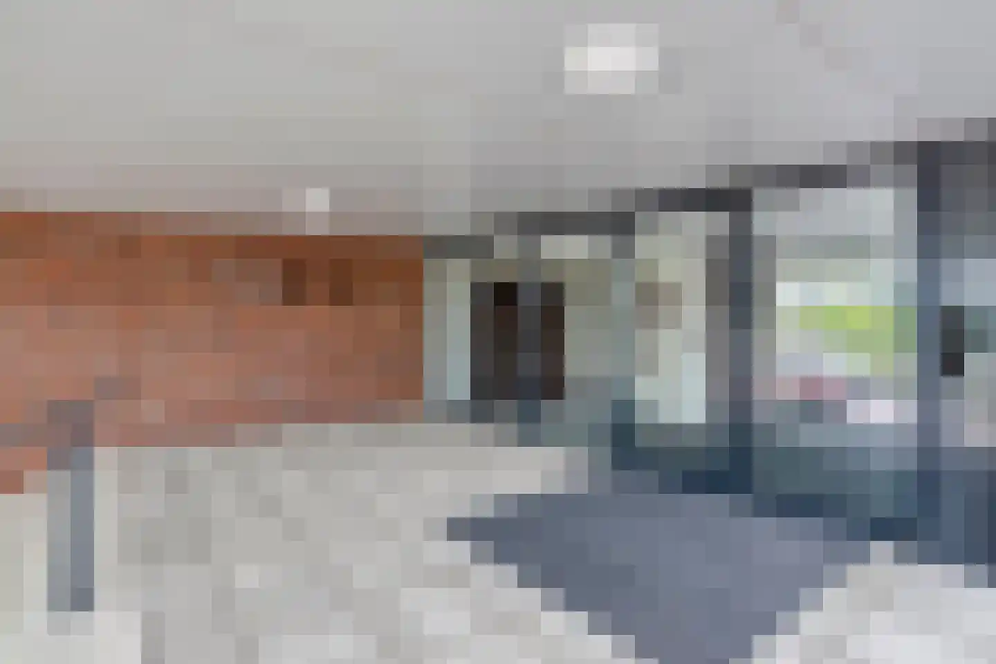 Doedes Breuning ten Catestraat 24 Almelo thumbnail 4