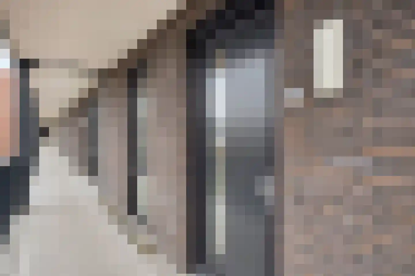 Doedes Breuning ten Catestraat 24 Almelo thumbnail 9