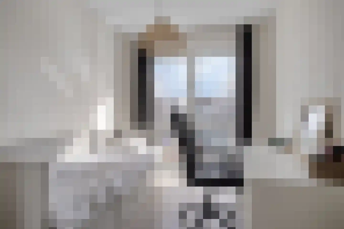 Doedes Breuning ten Catestraat 72 Almelo thumbnail 20