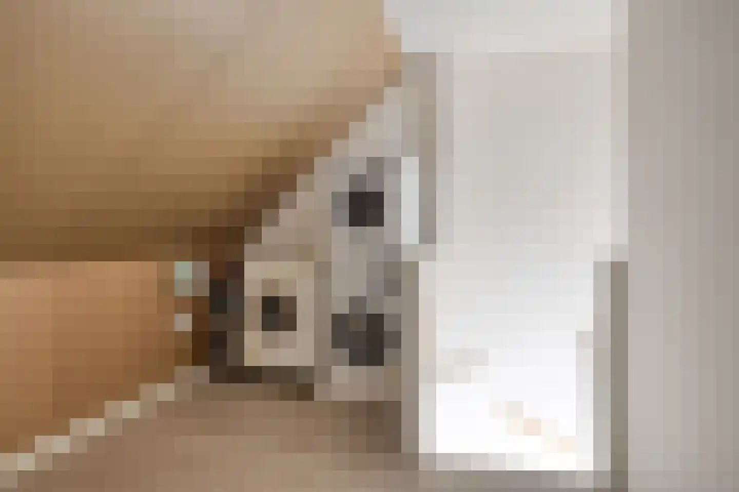 Doedes Breuning ten Catestraat 72 Almelo thumbnail 21