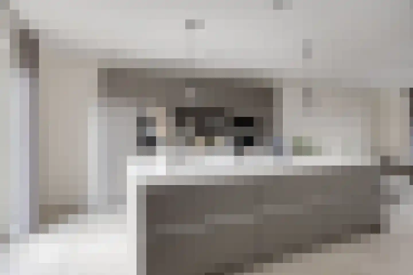 Doedes Breuning ten Catestraat 72 Almelo thumbnail 7