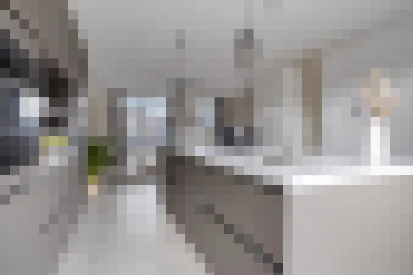 Doedes Breuning ten Catestraat 72 Almelo thumbnail 8