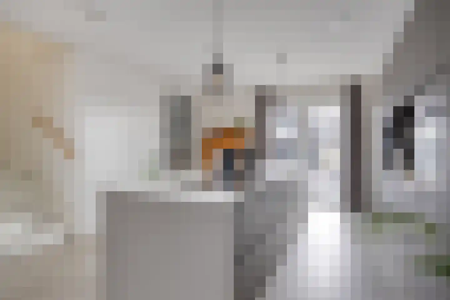 Doedes Breuning ten Catestraat 72 Almelo thumbnail 9