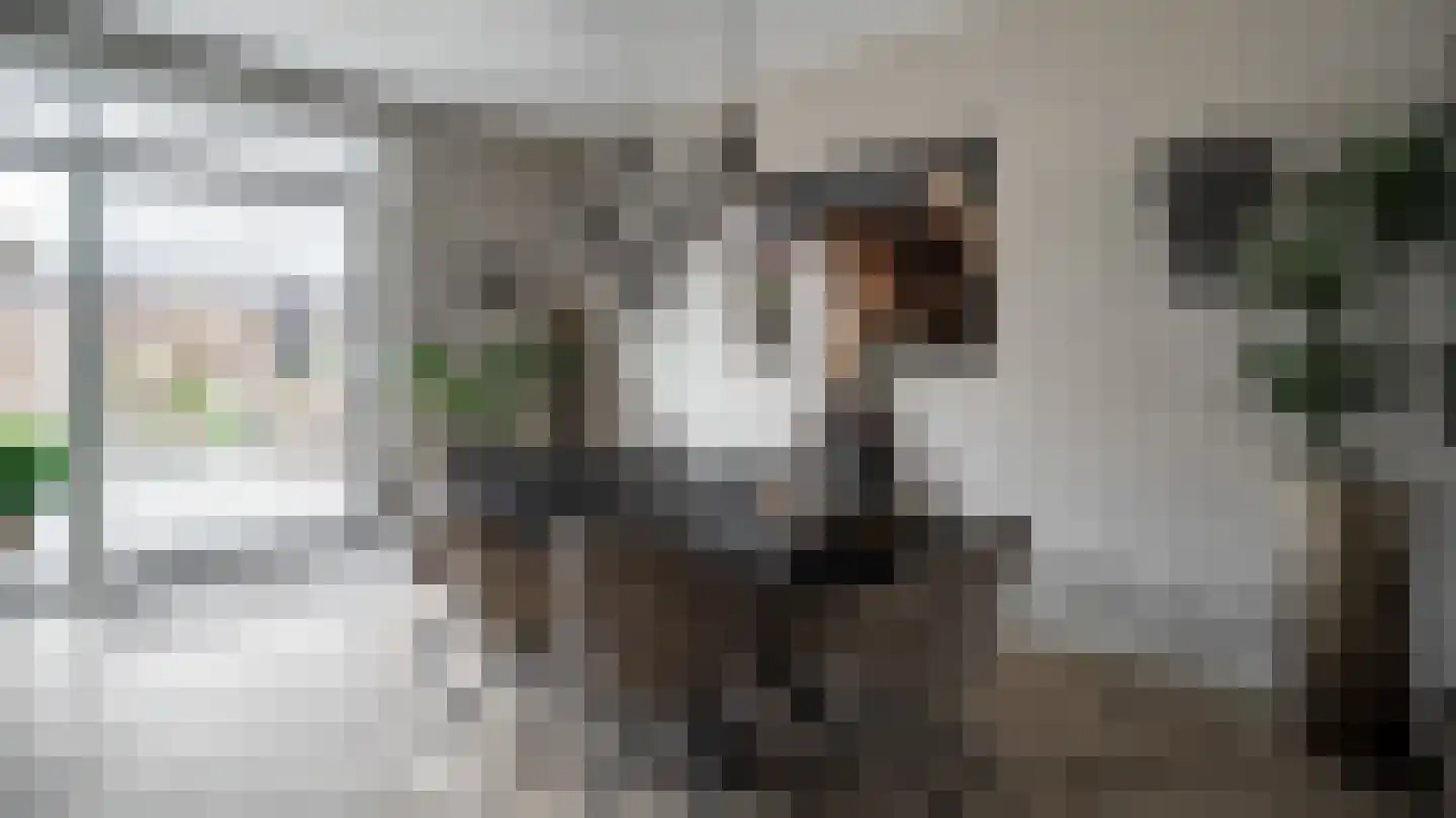 Doedes Breuning ten Catestraat 74 Almelo thumbnail 12
