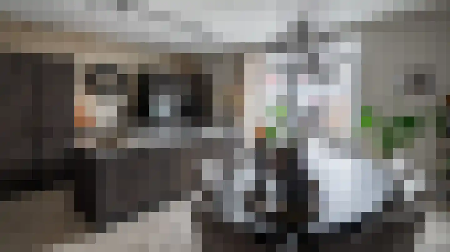 Doedes Breuning ten Catestraat 74 Almelo thumbnail 8