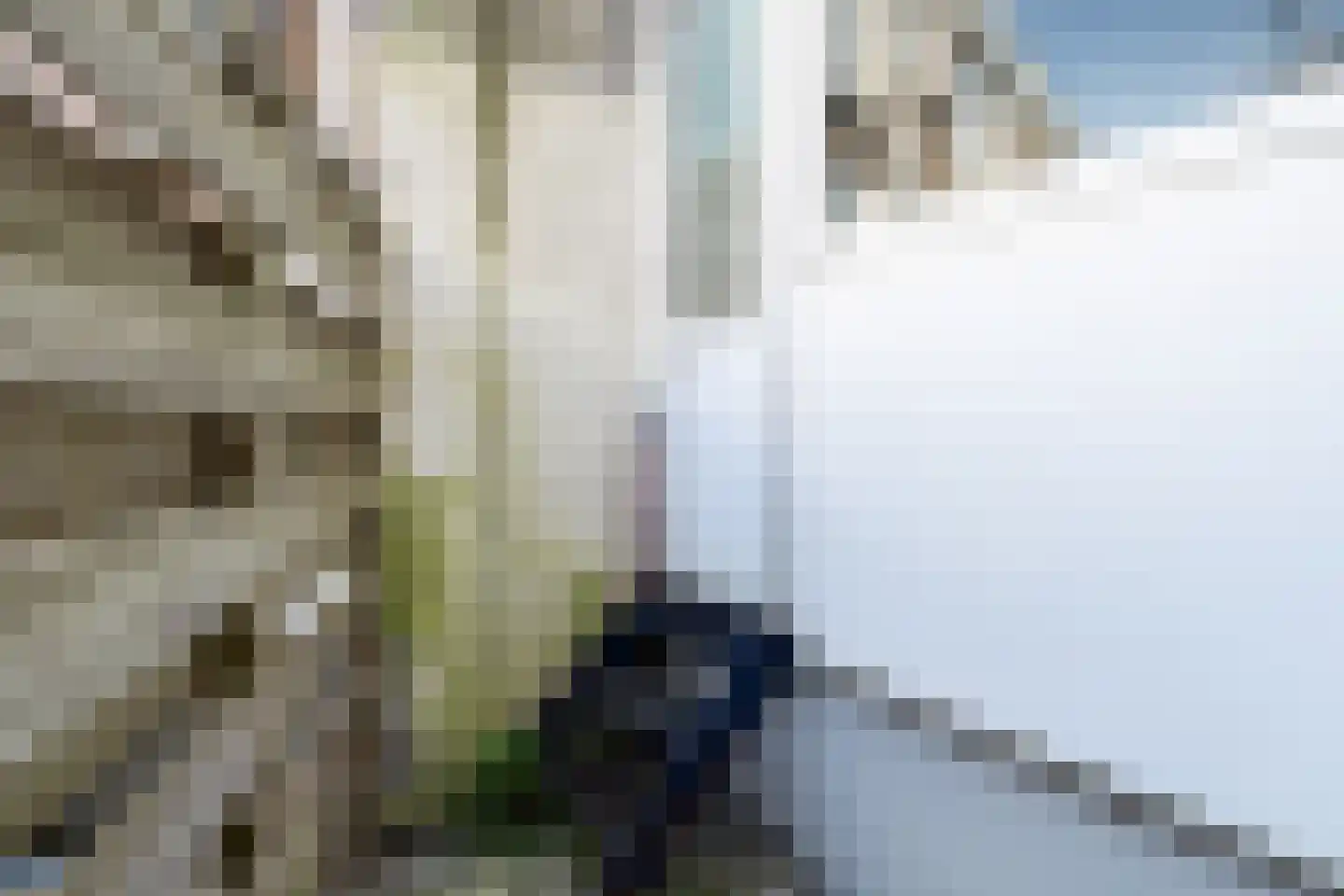 Doedesstraat 3 Rotterdam thumbnail 18