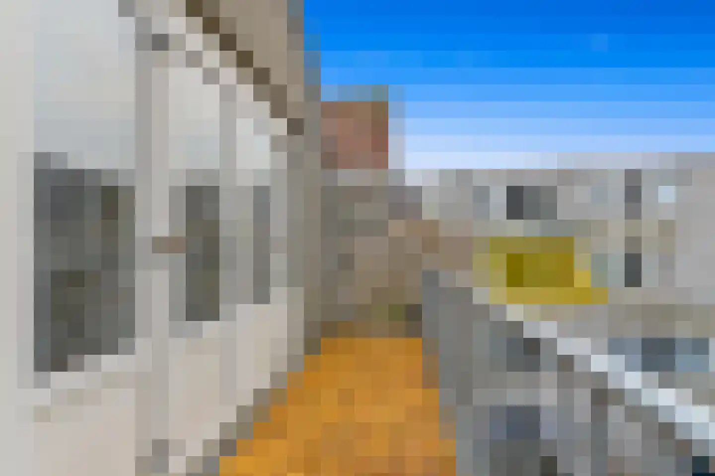 Doedesstraat 39 B Rotterdam thumbnail 27