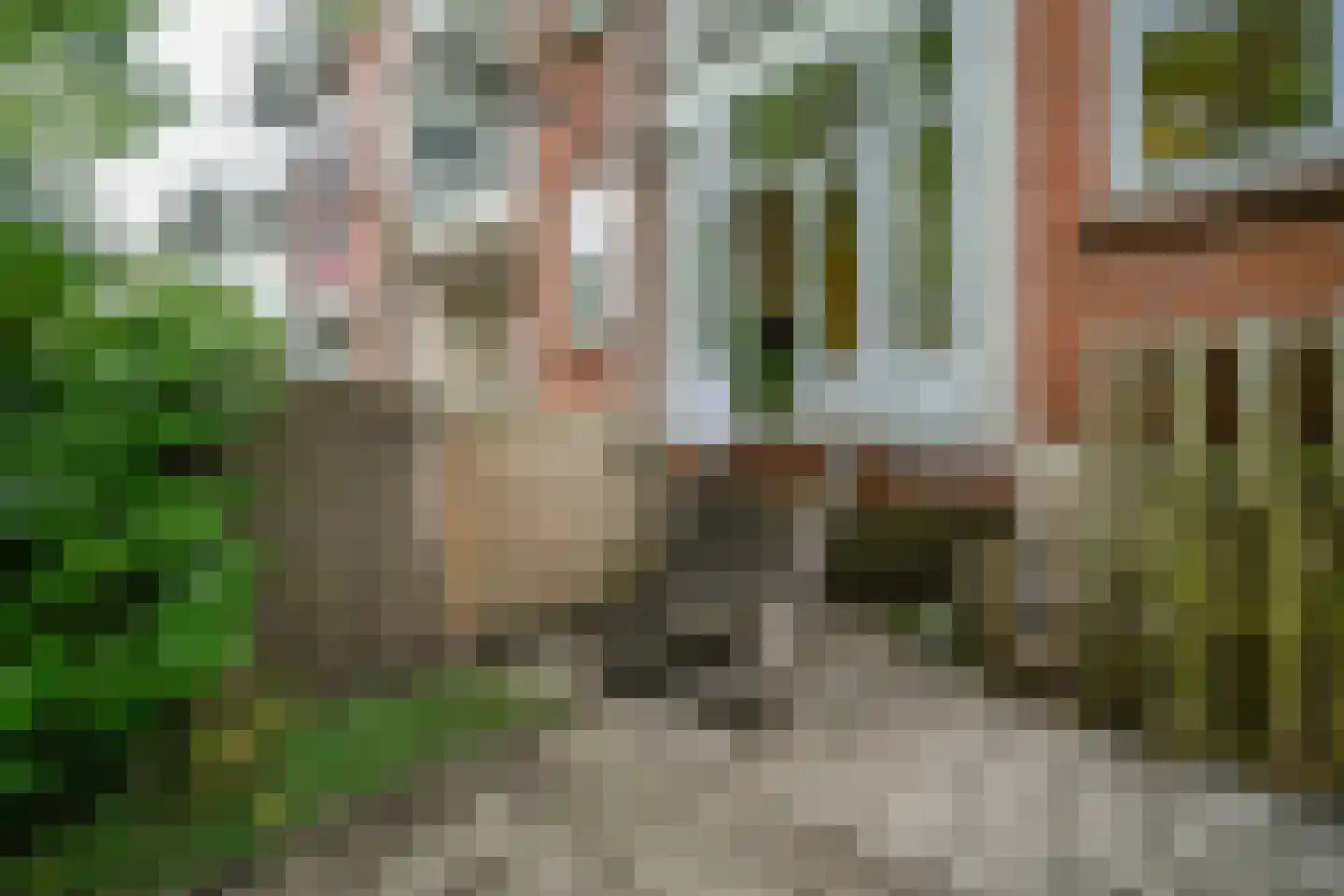 Doedesstraat 75 B 01 Rotterdam thumbnail 23