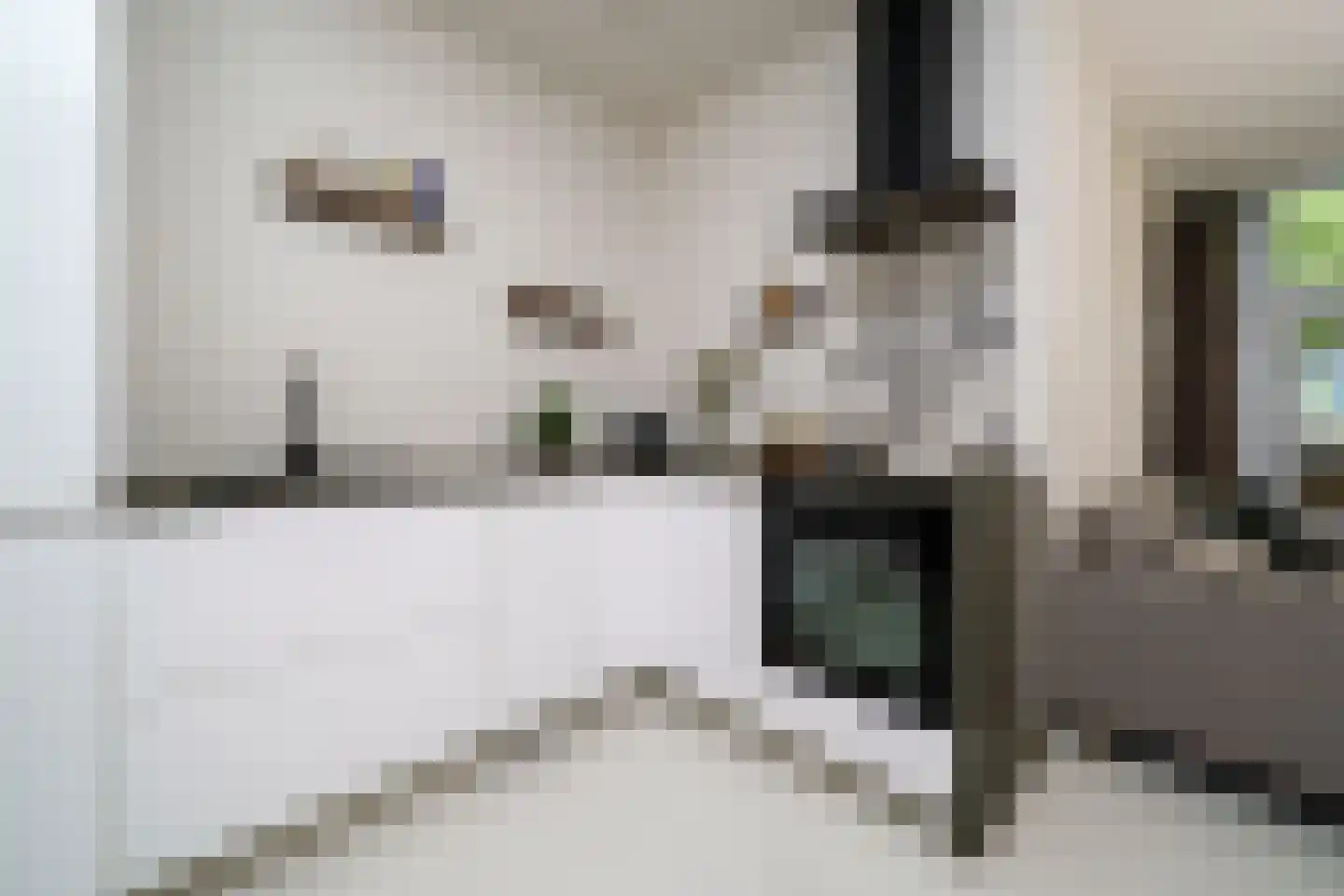 Doedesstraat 75 B 01 Rotterdam thumbnail 4