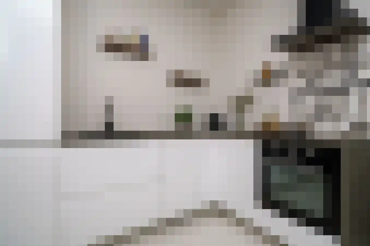 Doedesstraat 75 B 01 Rotterdam thumbnail 6