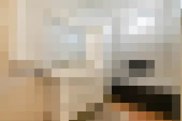 Doedesstraat 77 A Rotterdam thumbnail 25