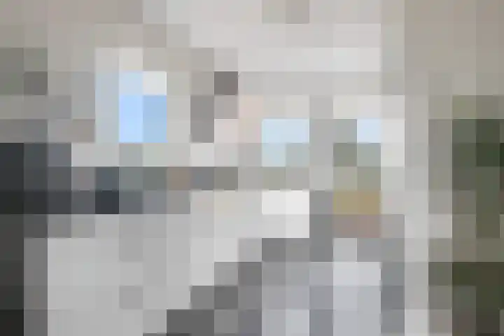 Doekeslân 8 Goutum thumbnail 11