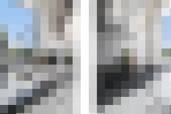 Doekeslân 8 Goutum thumbnail 12