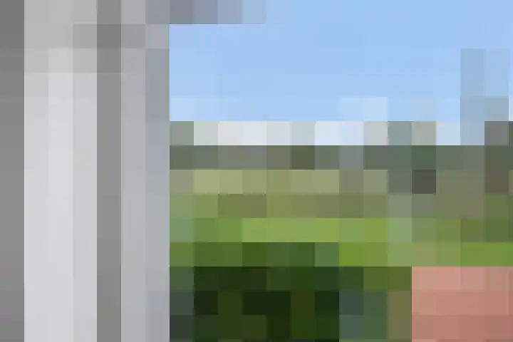 Doekeslân 8 Goutum thumbnail 14