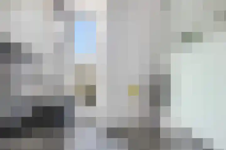 Doekeslân 8 Goutum thumbnail 16