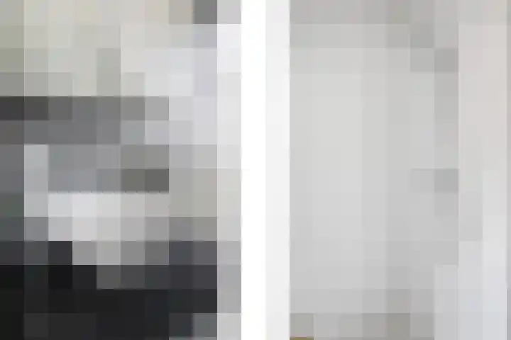 Doekeslân 8 Goutum thumbnail 17