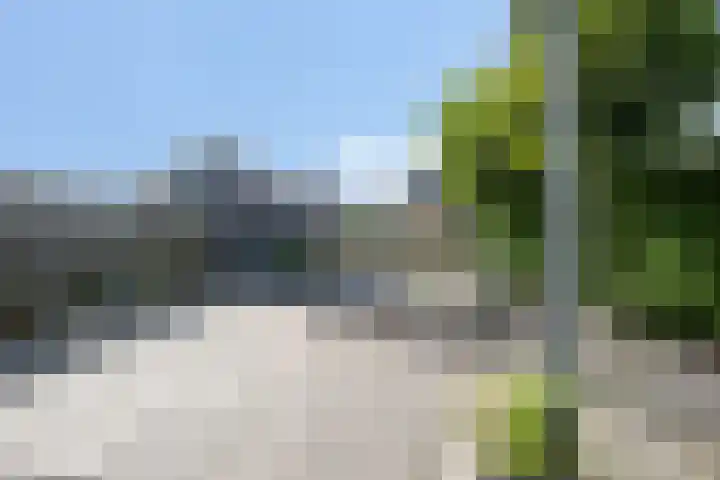 Doekeslân 8 Goutum thumbnail 27
