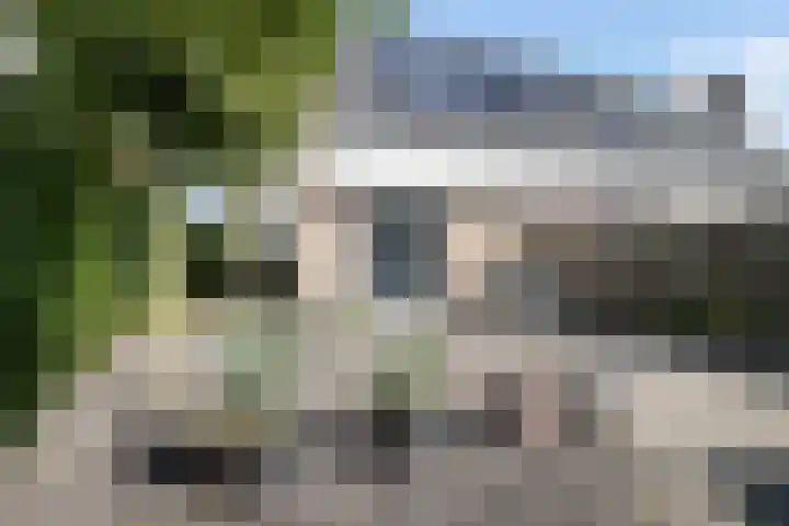 Doekeslân 8 Goutum thumbnail 29