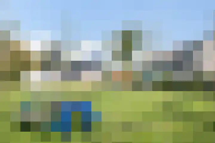 Doekeslân 8 Goutum thumbnail 33