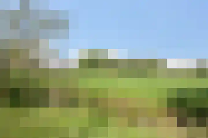 Doekeslân 8 Goutum thumbnail 34
