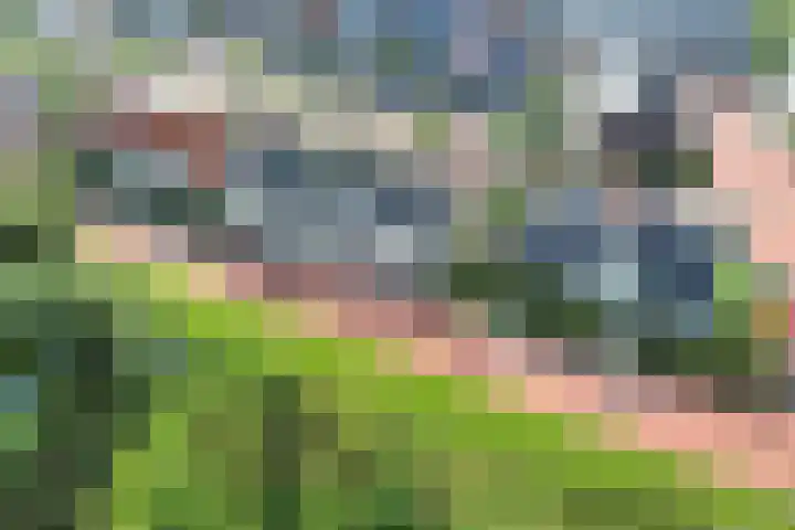 Doekeslân 8 Goutum thumbnail 35