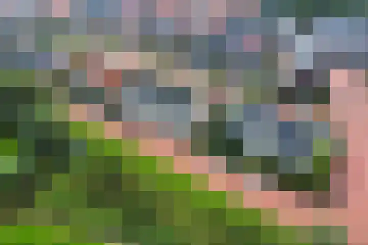 Doekeslân 8 Goutum thumbnail 36