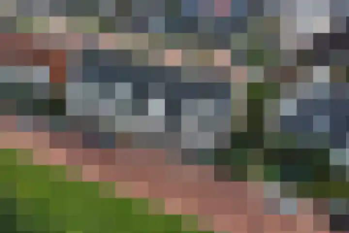 Doekeslân 8 Goutum thumbnail 37