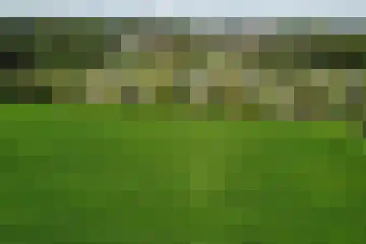 Doekeslân 8 Goutum thumbnail 38