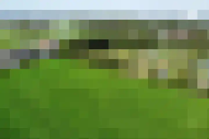 Doekeslân 8 Goutum thumbnail 39