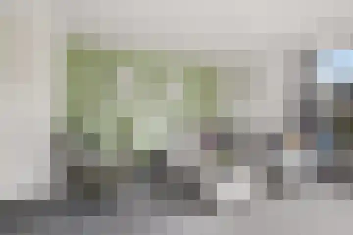Doekeslân 8 Goutum thumbnail 7