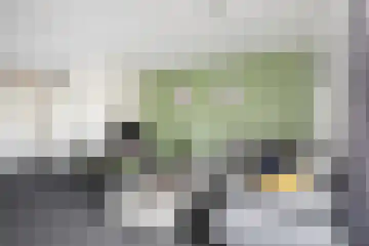 Doekeslân 8 Goutum thumbnail 8
