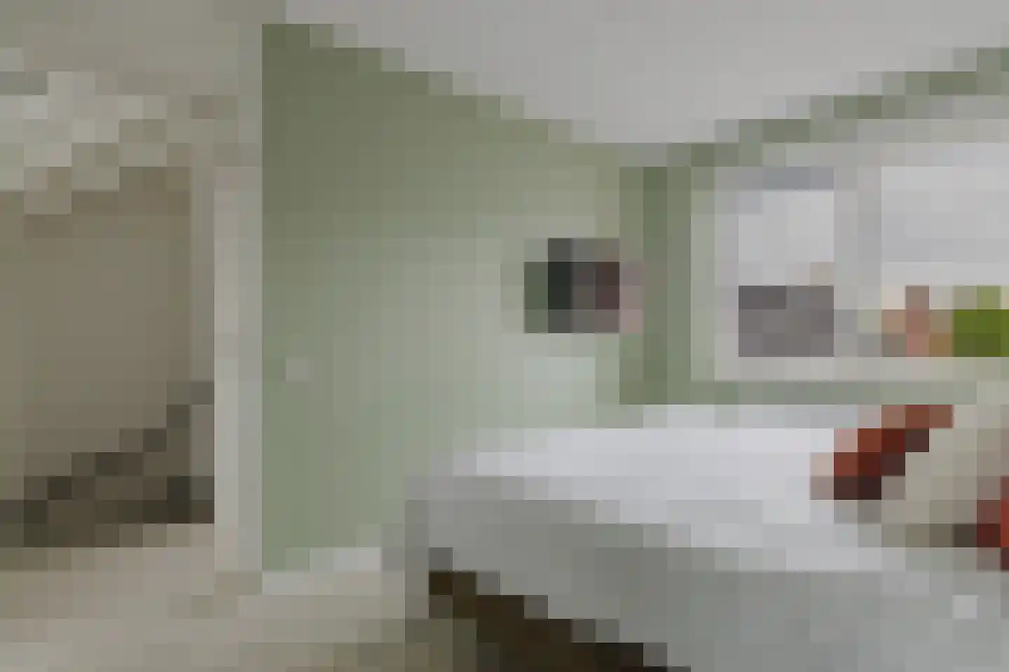 Doelakkers 10 Sprundel thumbnail 36