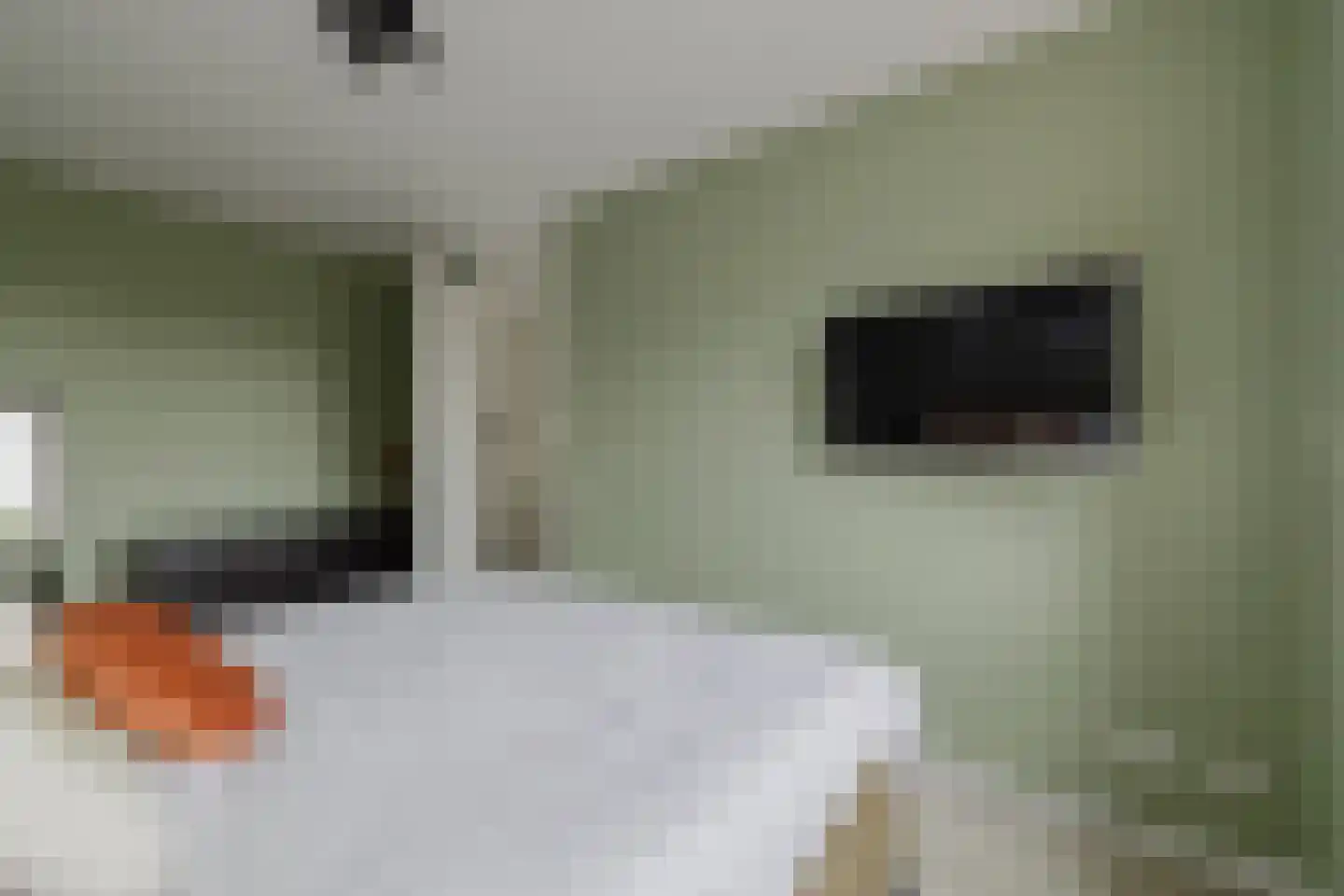 Doelakkers 10 Sprundel thumbnail 37