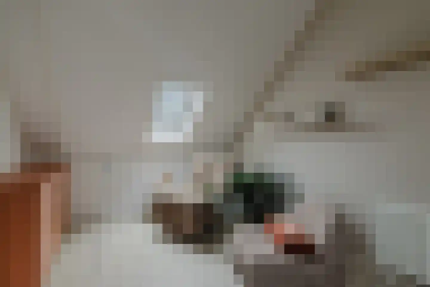 Doelakkers 10 Sprundel thumbnail 51